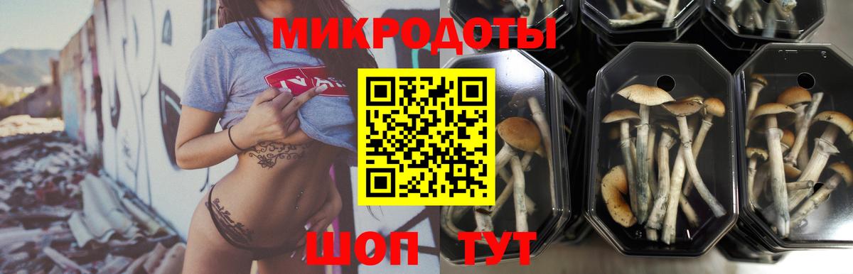 Галлюциногенные грибы ЛСД  Вход с VPN  Великие Луки 